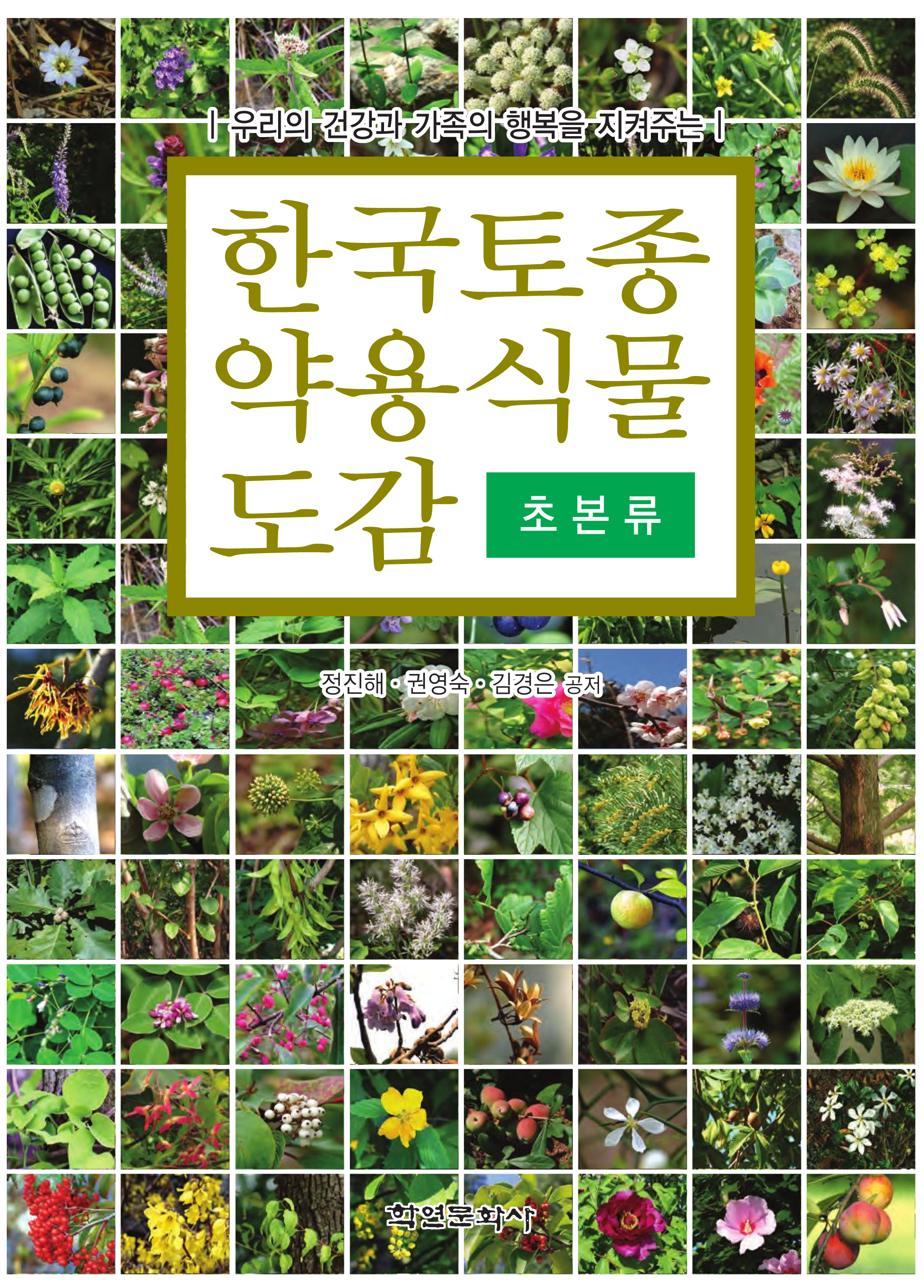 한국토종약용식물도감 초본류